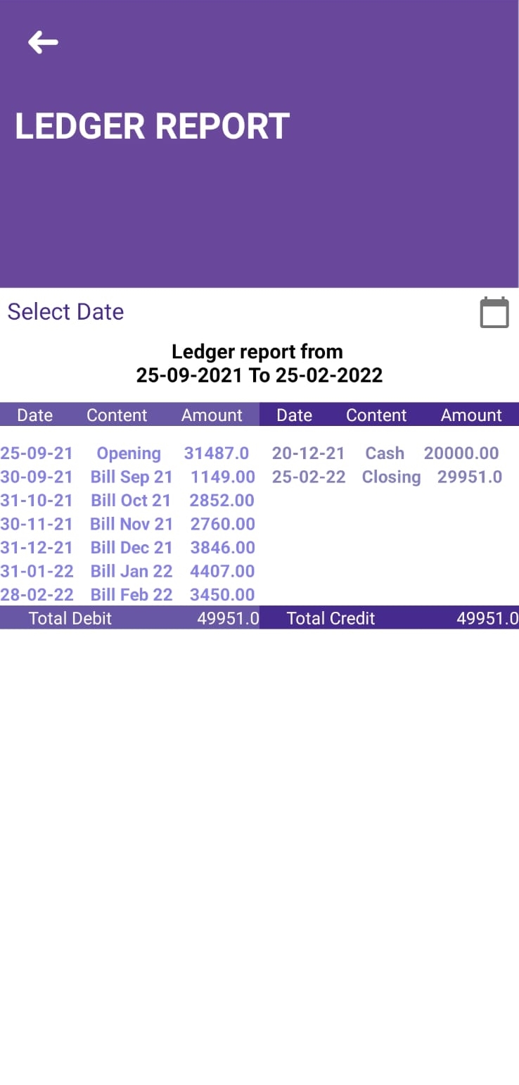 LedgerReport